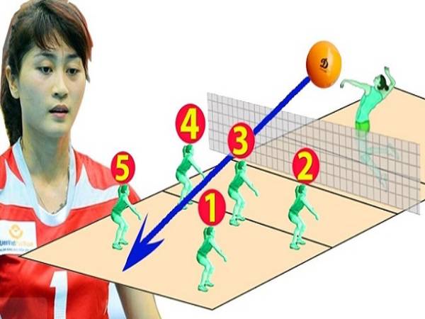 Cách di chuyển trong bóng chuyền đúng chuẩn kỹ thuật