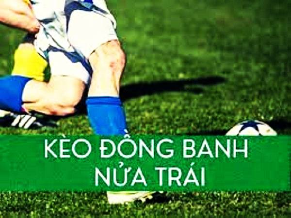keo-dong-nua-la-sao-kinh-nghiem-choi-keo-dong-nua-de-an