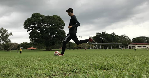 Giúp cải thiện tim mạch