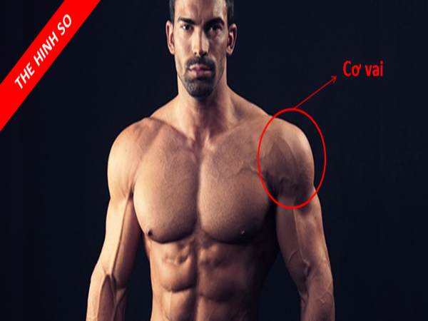 Chia sẻ các bài tập cơ vai vạm vỡ hiệu quả cho nam giới