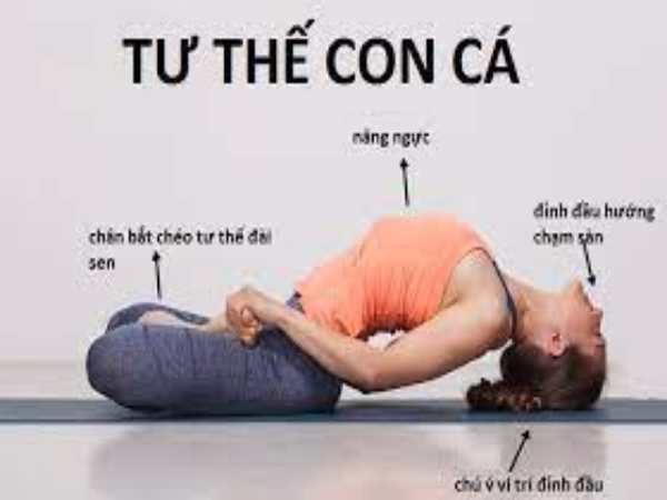 tư thế con cá