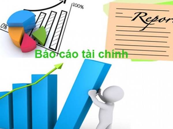 Báo cáo tài chính 2