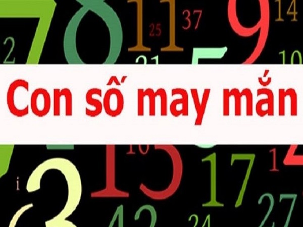 Con số tăng may mắn tuổi Tân Sửu ngày 26/12 nên ưu tiên